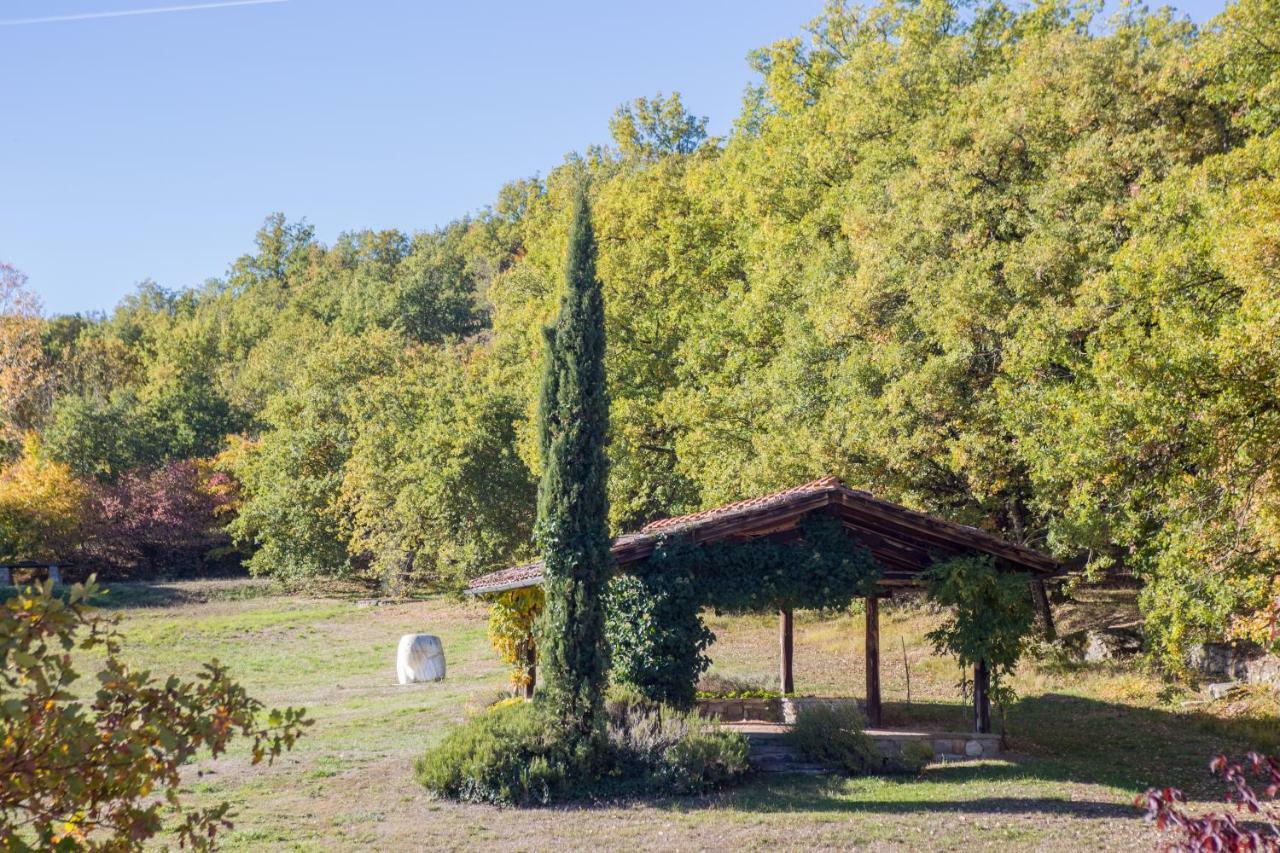 Fattorie Di Celli Apartment Poppi Bagian luar foto